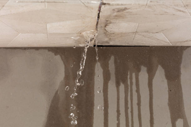 Professional Burst Pipe Cleanup technician working in Walpole, ME